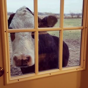 Meet your Posher, Maria